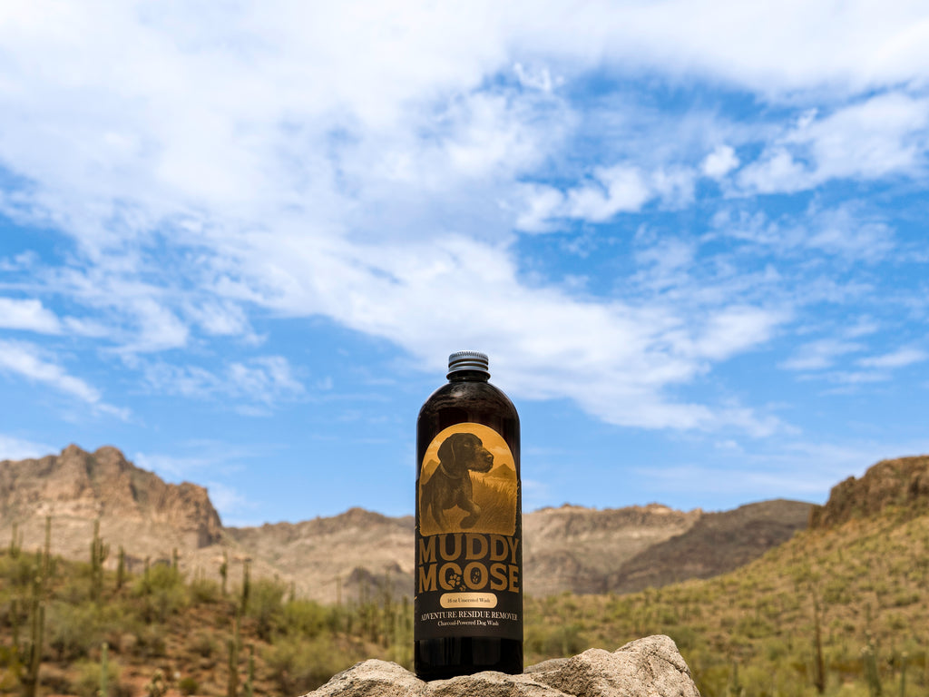 A dark bottle labeled 'Muddy Moose' stands on a rock in a desert landscape with mountains and a blue sky with clouds in the background.